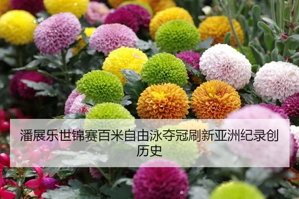 潘展乐世锦赛百米自由泳夺冠刷新亚洲纪录创历史