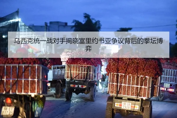 乌西克统一战对手揭晓富里约书亚争议背后的拳坛博弈