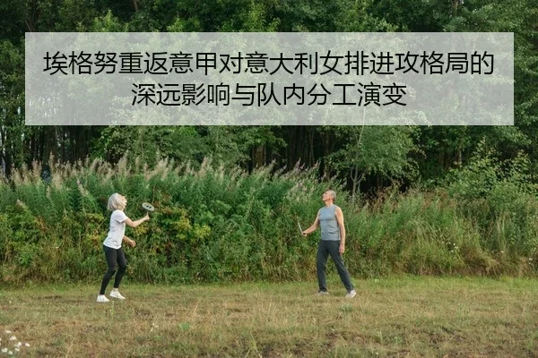 埃格努重返意甲对意大利女排进攻格局的深远影响与队内分工演变